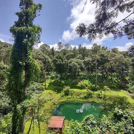 Serene Woods Villa Madikeri Luaran gambar