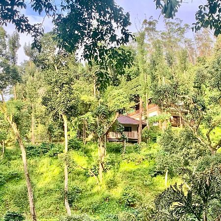 Serene Woods Villa Madikeri Luaran gambar