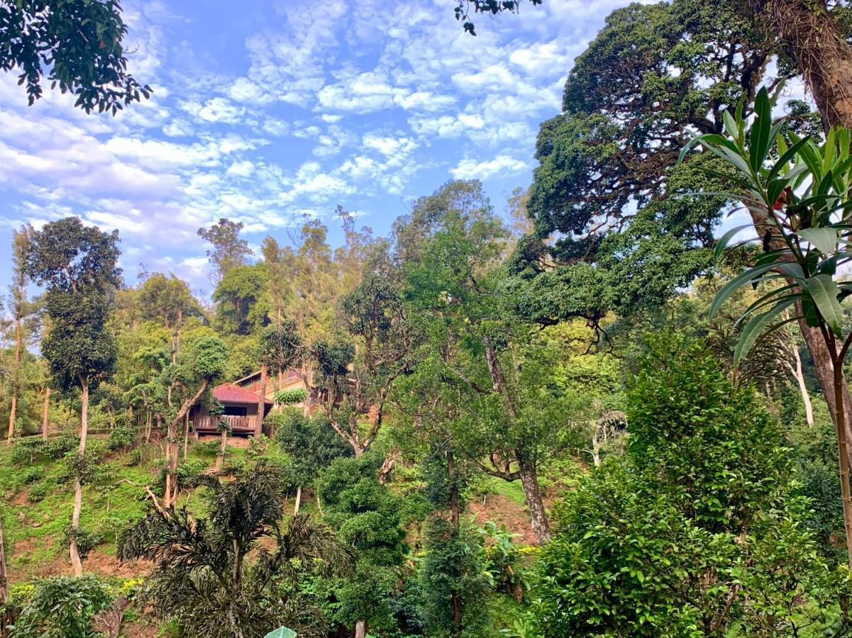 Serene Woods Villa Madikeri Luaran gambar