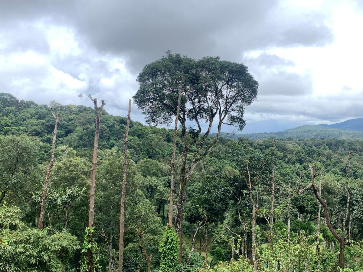 Serene Woods Villa Madikeri Luaran gambar