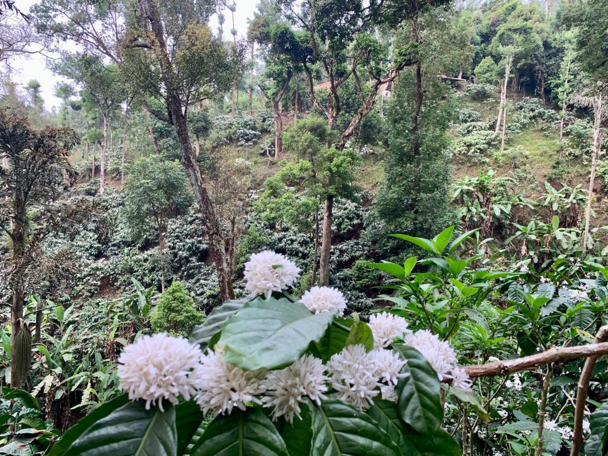 Serene Woods Villa Madikeri Luaran gambar