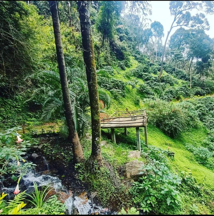 Serene Woods Villa Madikeri Luaran gambar