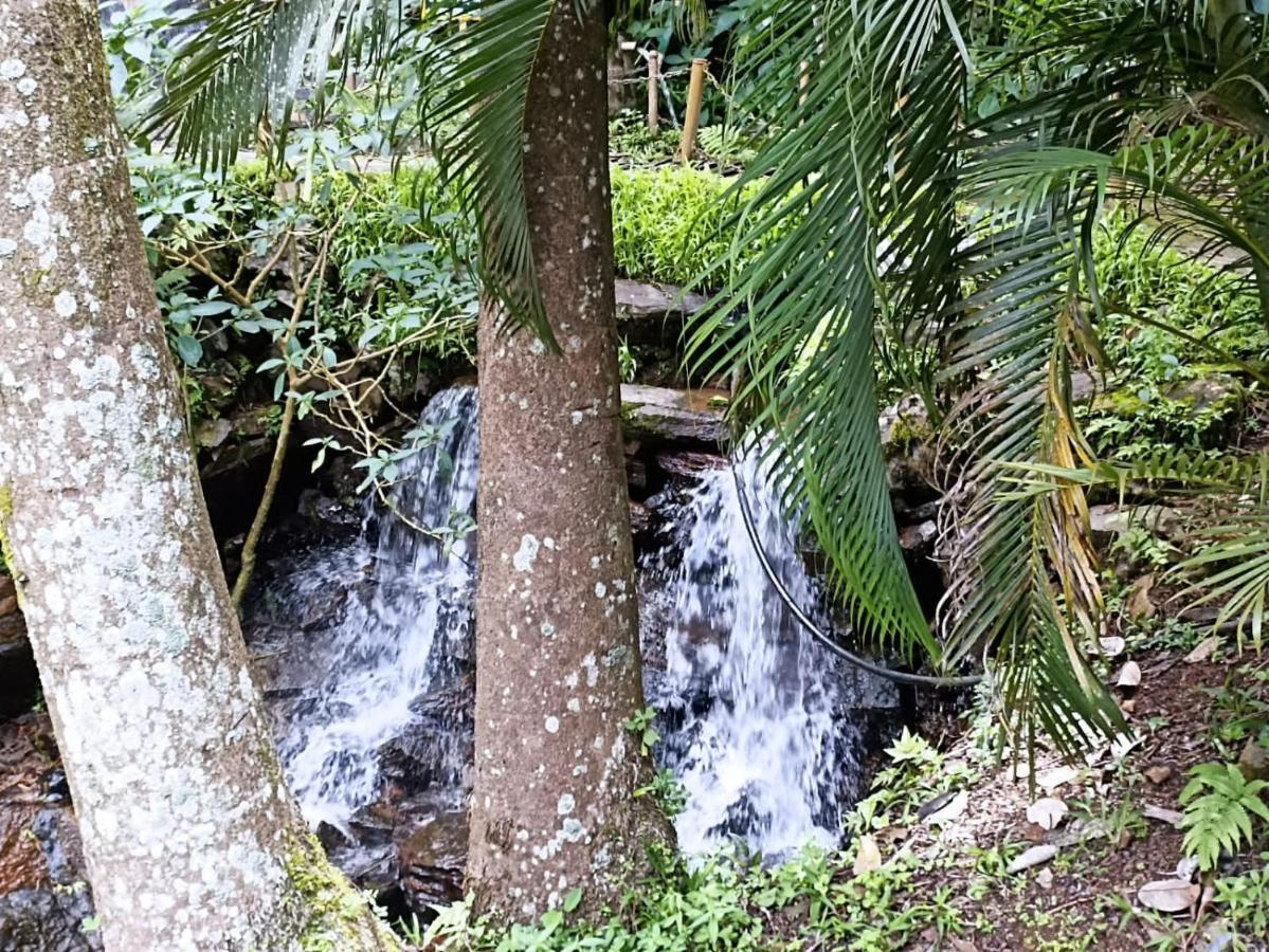 Serene Woods Villa Madikeri Luaran gambar