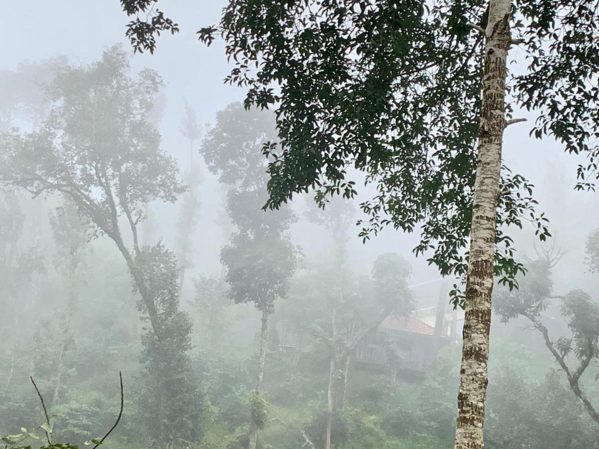 Serene Woods Villa Madikeri Luaran gambar