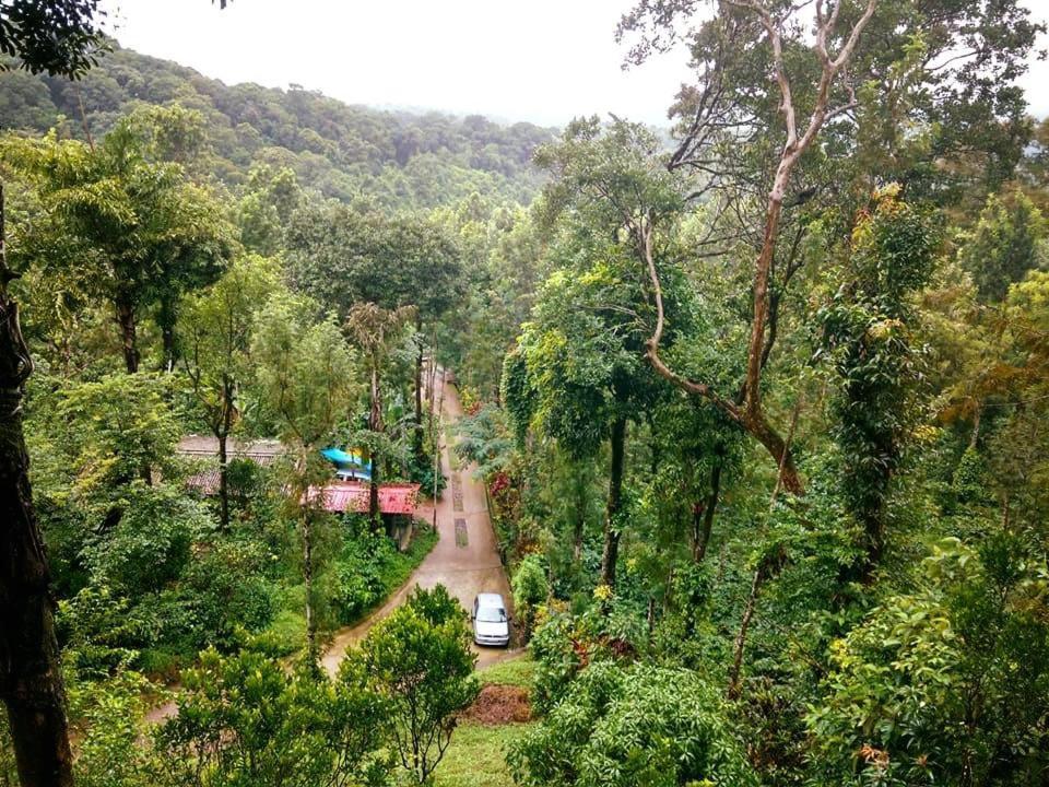 Serene Woods Villa Madikeri Luaran gambar