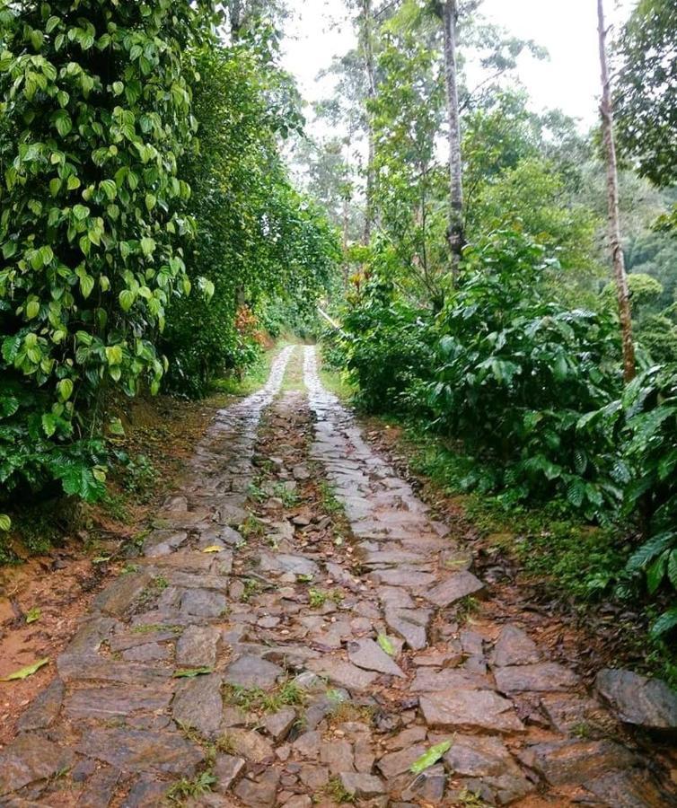 Serene Woods Villa Madikeri Luaran gambar